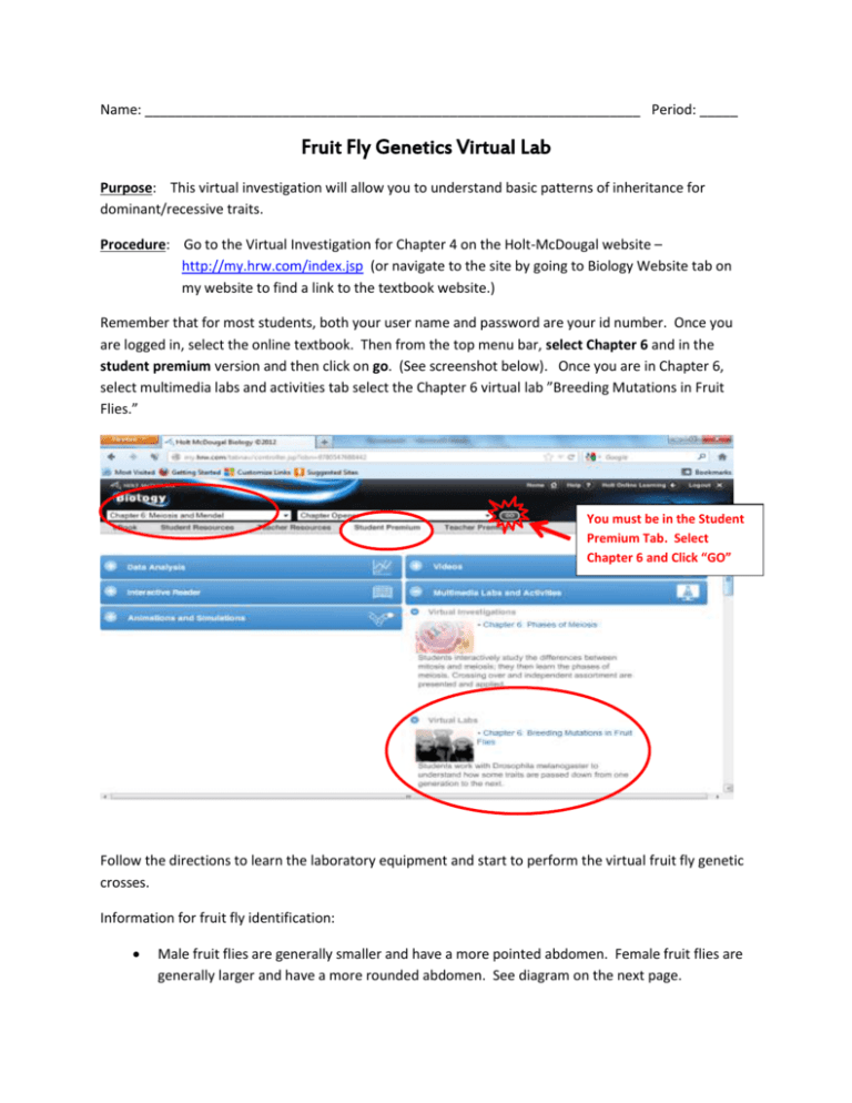 fruit-fly-genetics-virtual-lab-mercer-island-school-district