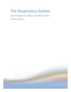 The Respiratory System