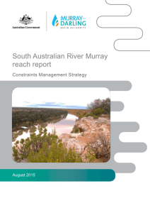 South Australian River Murray reach report - Murray