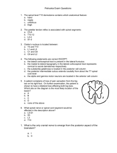 Petruska Exam Questions The spinal level T10 dermatome contains