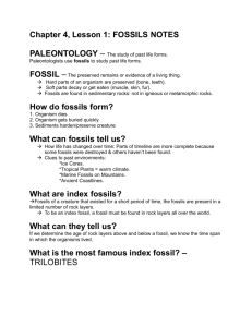 Chapter 4, Lesson 1: Fossils Notes and Lab