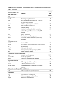 Table S2. Genes significantly up-regulated in the pstCA mutant
