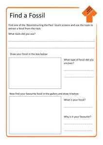 Fossils Worksheets - Great North Museum