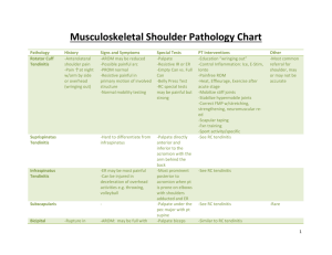 Musculoskeletal Shoulder Pathology Chart