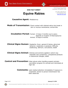 Equine Rabies Fact Sheet - Environmental Health & Safety