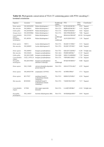 Table S2: Phylogenetic conservation of TGA CT containing genes