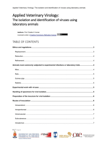 Observation of inoculated animals