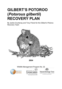 Gilbert`s Potoroo (Potorous gilbertii) recovery plan