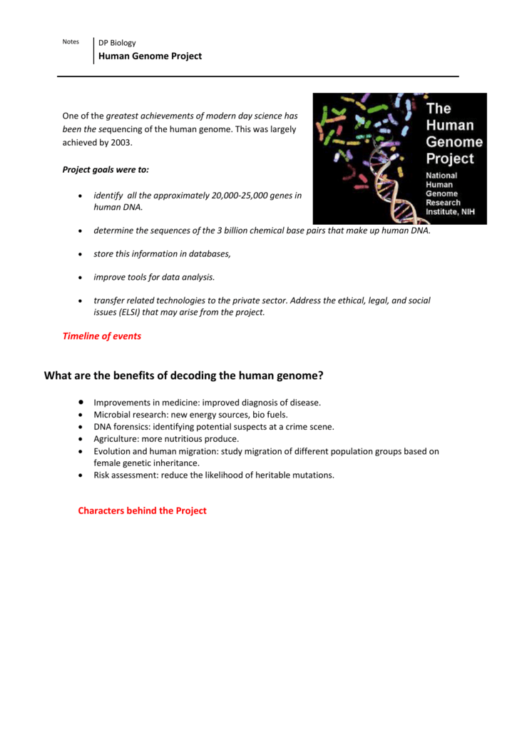 Реферат: The Human Genome Project Essay Research Paper