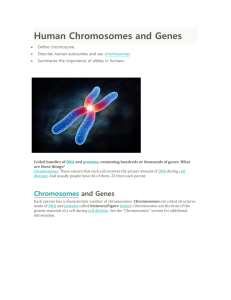 Human Chromosomes and Genes