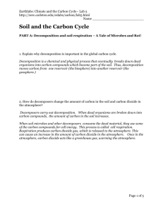 Soil and the Carbon Cycle