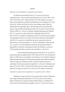 Text S1 Phenotype screen of additional C. parapsilosis gene