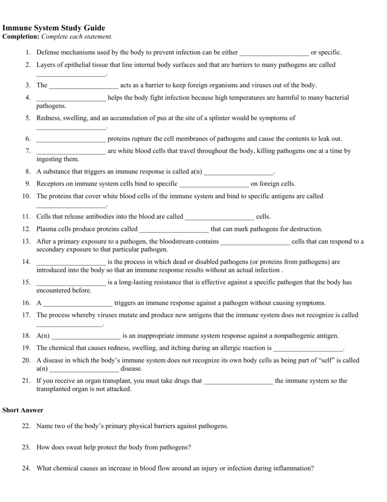 Chapter 24 The Immune System And Disease Worksheet Answers Ivuyteq