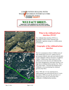 wss&cs wui fact sheet (c) - International Association of Wildland Fire