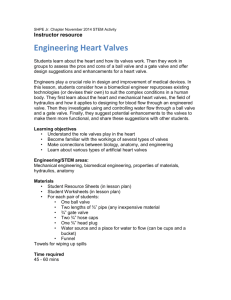 Engineering Heart Valves