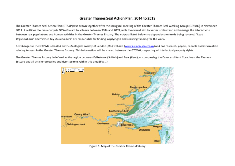 Greater Thames Seal Action Plan