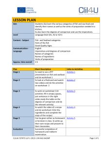 lesson plan - Languages.dk