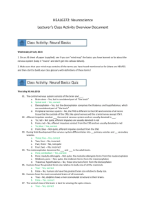 Lecturers Overview of Class Activities