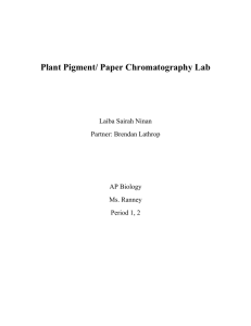 Plant Pigment/ Paper Chromatography Lab