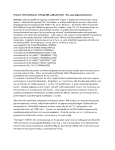 Protocol: PCR amplification of fungal 18S and bacterial 16S rDNA