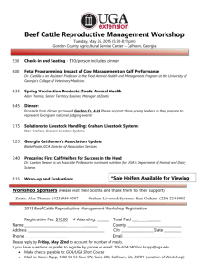Beef Cattle Reproductive Management Workshop