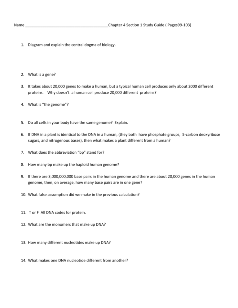 Ch 4 Study Guide
