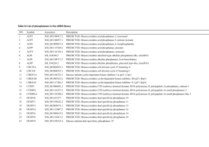 Table S1 List of phosphatases in the siRNA library NO. Symbol