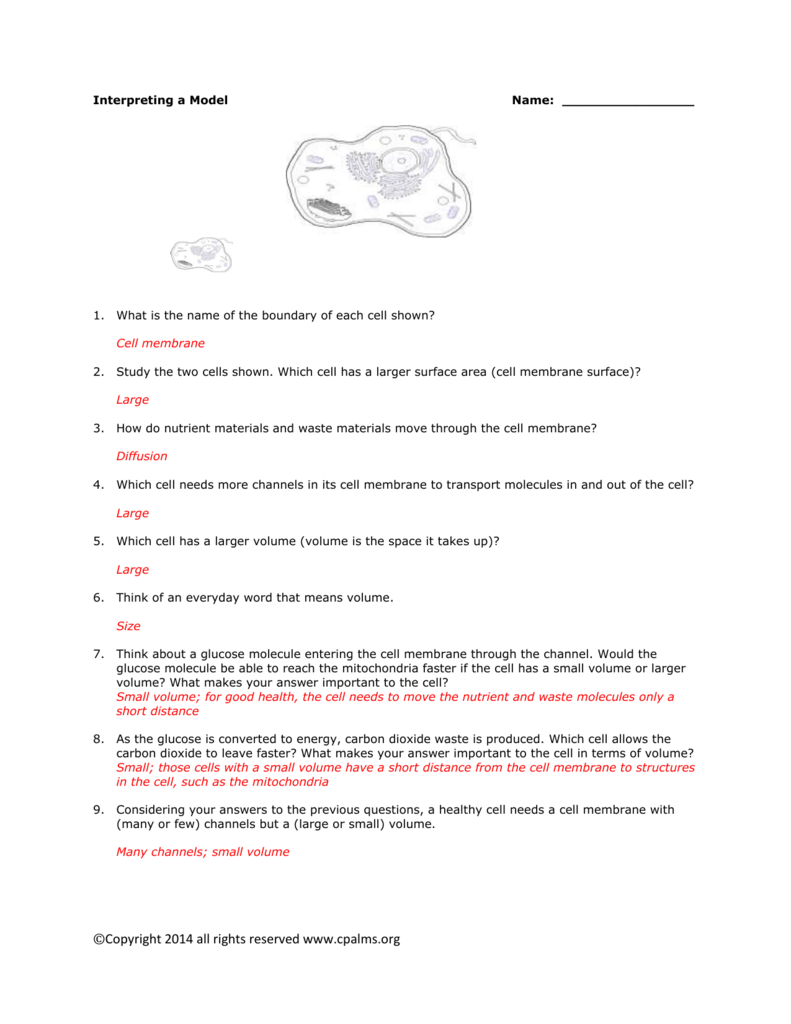 transport-across-membranes-powerpoint-worksheet-answers