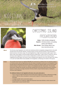 Fact Sheet - Christmas Island frigatebird