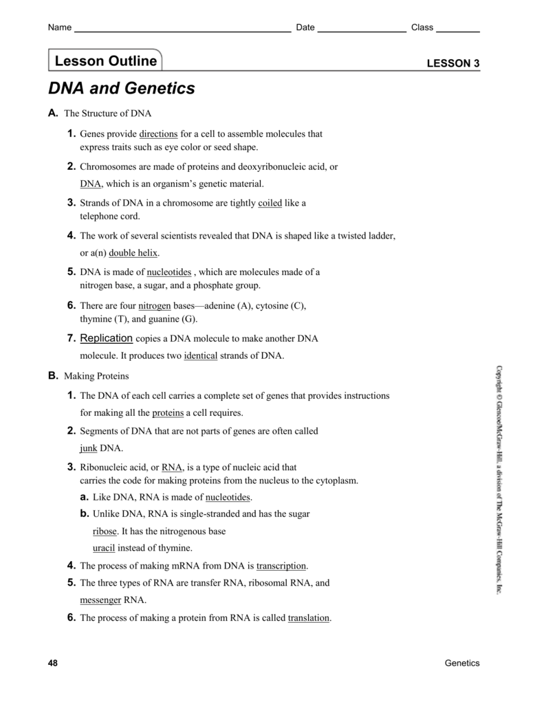 Dna And Genes Chapter 11 Worksheet Answers Nidecmege