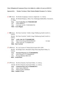 Class B - Connemara Pony Breeders Society