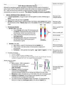 Unit 8 Meiosis and Mendelian Genetics notes