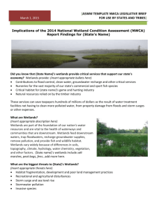 Word - Association of State Wetland Managers