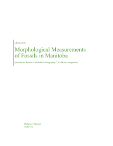Morphological Measurements of Fossils in Manitoba