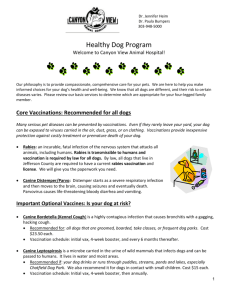 Healthy Dog Program - Canyon View Animal Hospital