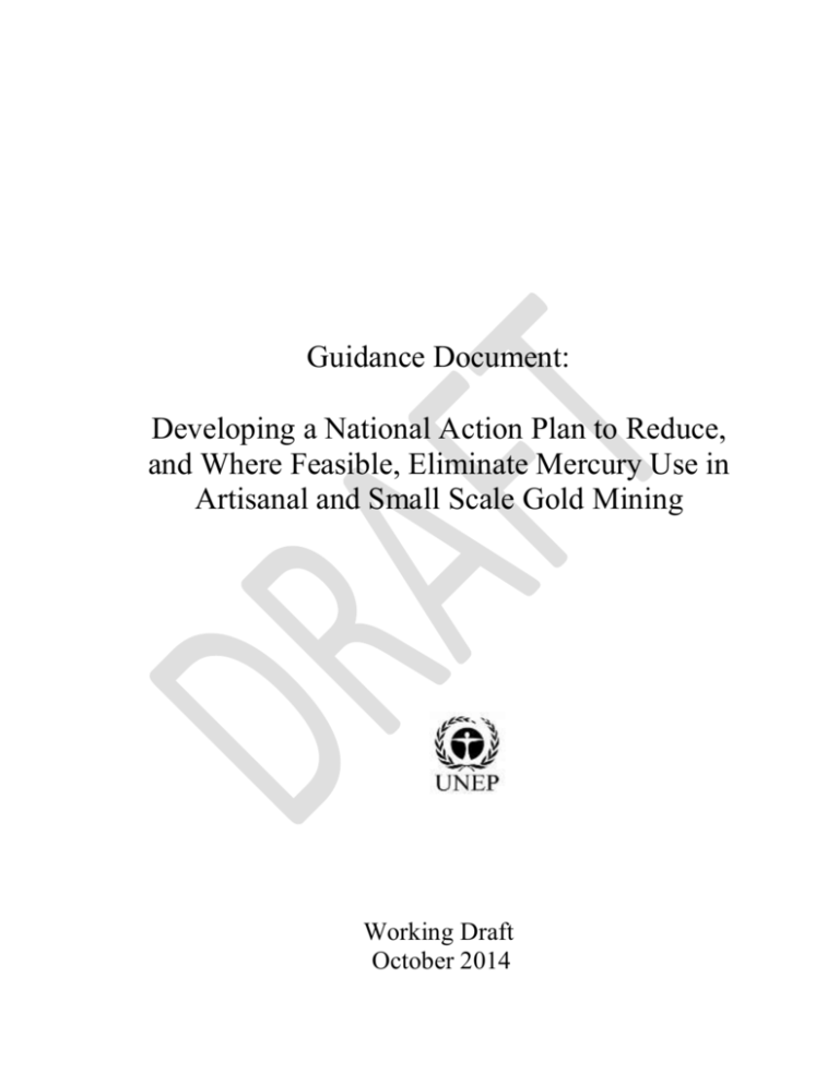 4 Steps For Developing A National Action Plan