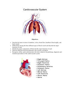 Cardiovascular System Objectives: Describe the heart in terms of