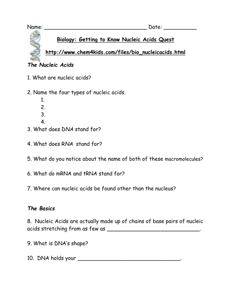 The Nucleic Acids With Regard To Nucleic Acids Worksheet Answers