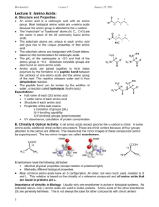 Lecture 5: Amino Acids