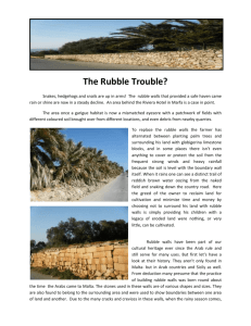 National Winning Article 1st – The Rubble Trouble?