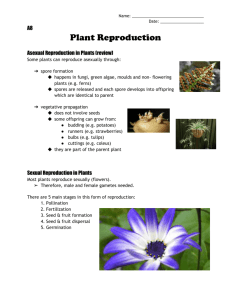 12 Plant Reproduction