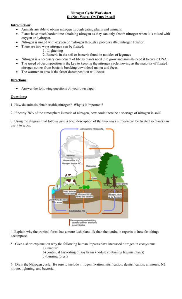 critical thinking activity living in the nitrogen cycle answer key