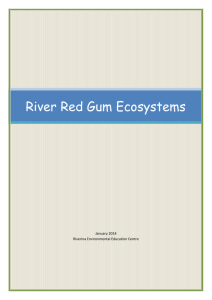 Study notes - Riverina Environmental Education Centre