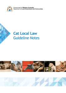 Cat Local Law Guidelines - Department of Local Government and