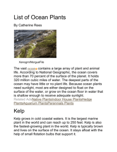 List of Ocean Plants