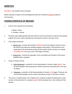 Genetics 2 Notes - Fulton County Schools