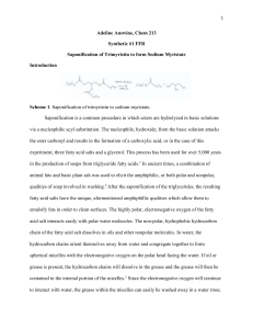 Saponification Formal Final Report