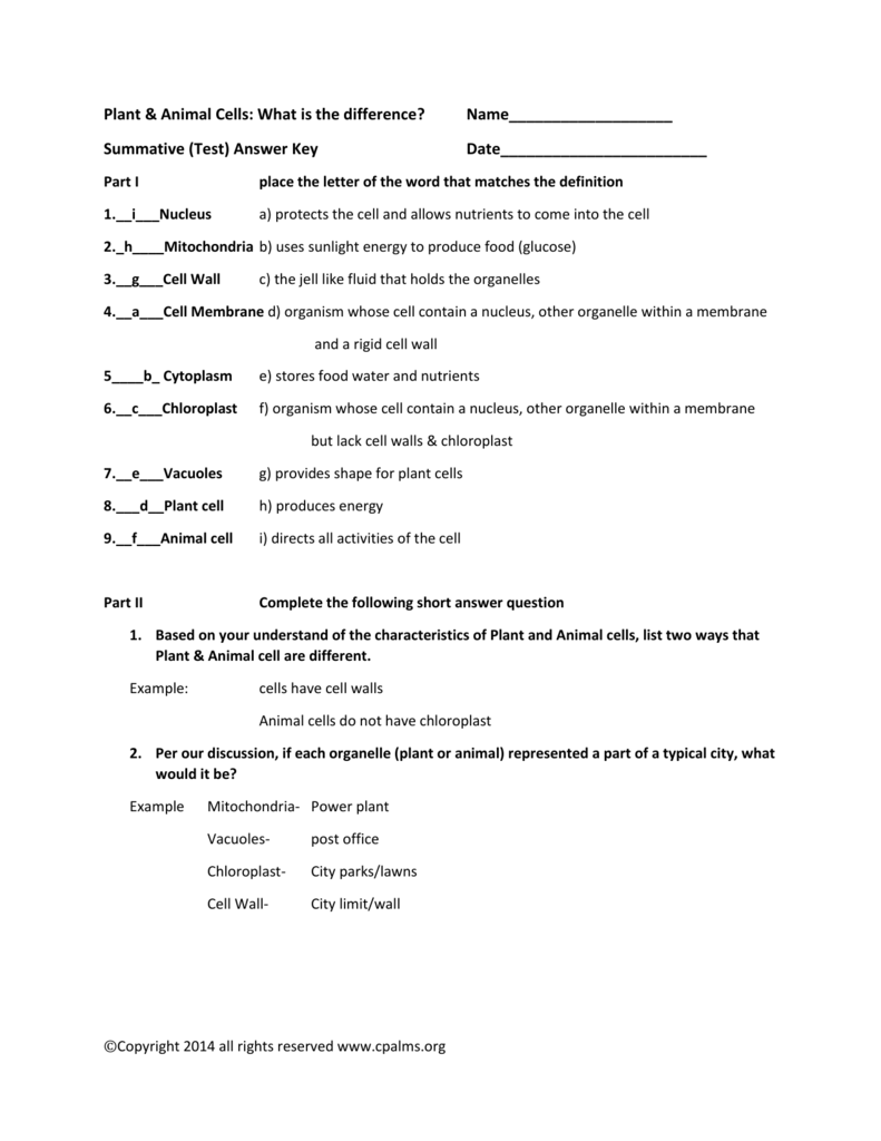 Animal And Plant Cells Worksheet Key Nidecmege