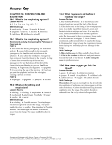 studylib.net - Essays, homework help, flashcards, research papers, book