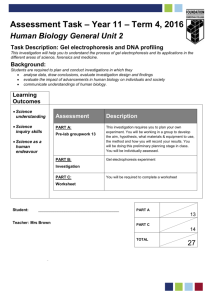 Task Description: Gel electrophoresis and DNA profiling